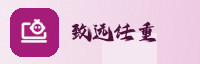 合作伙伴
